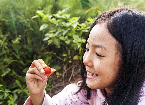 食之有据