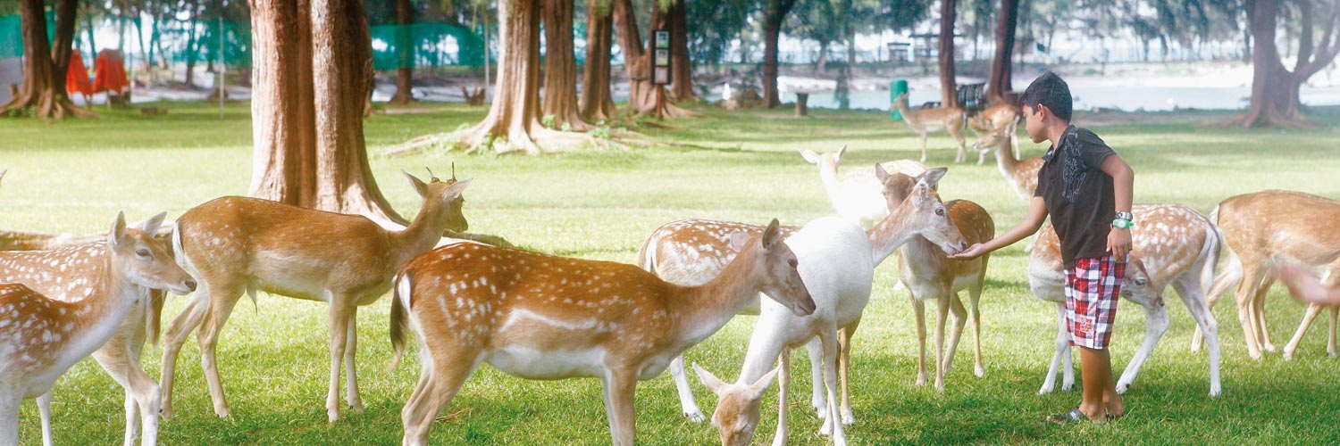 禾然有机 - 菜谱列表