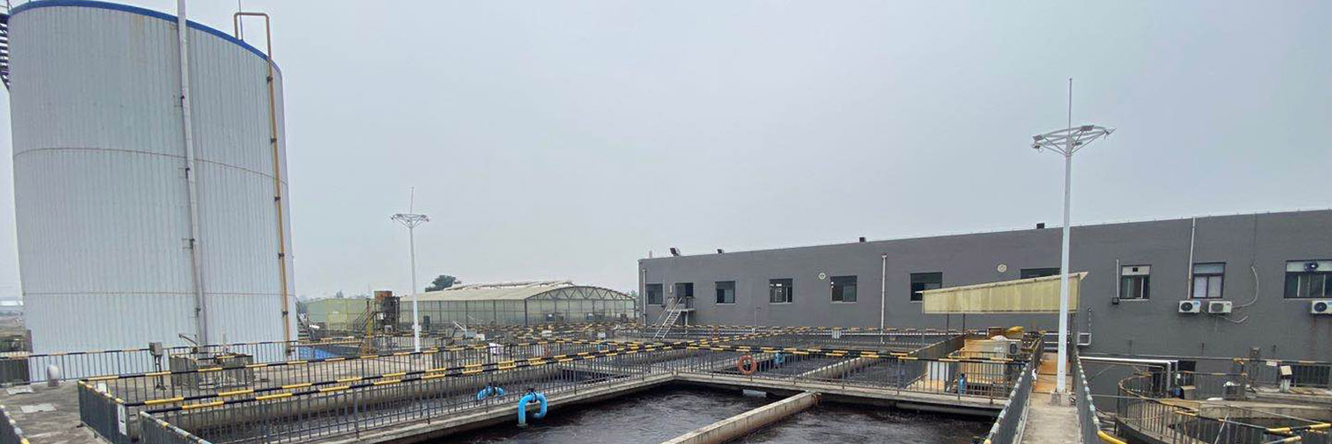 烟台欣和企业食品有限公司入选“国家绿色工厂”