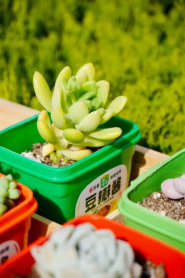 (变废为宝,保护生态)
